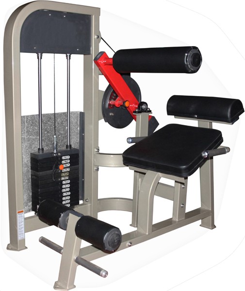 Dual Ab & Back Extension £1484.95 Gymwarehouse