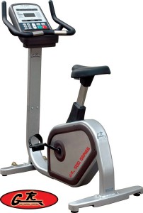 500 Series Upright Bike