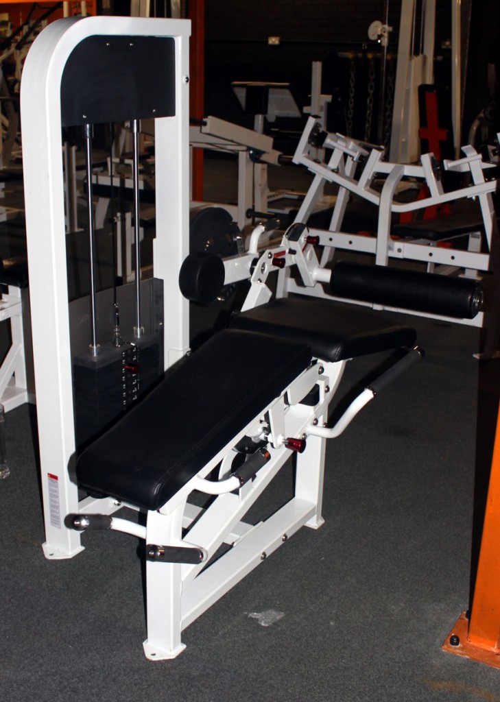 Dual Purpose Leg Curl / Extension