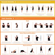 Poster  Upper Body Stretching