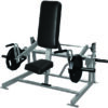 Seated & Standing Shrugs Gymwarehouse