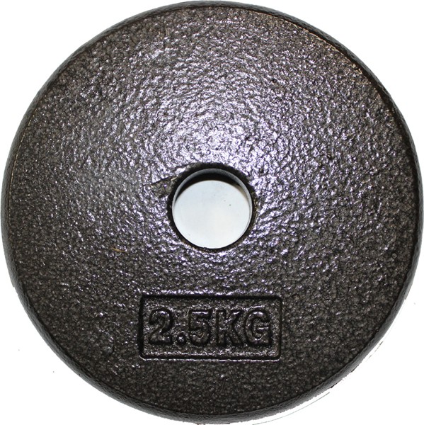 Standard Weight Plates for Gym Use