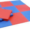 red and blue gym martial arts mat