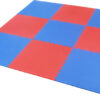 red and blue gym studio mats