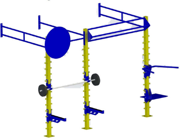 Small Wall Mounted Gym Training Rig