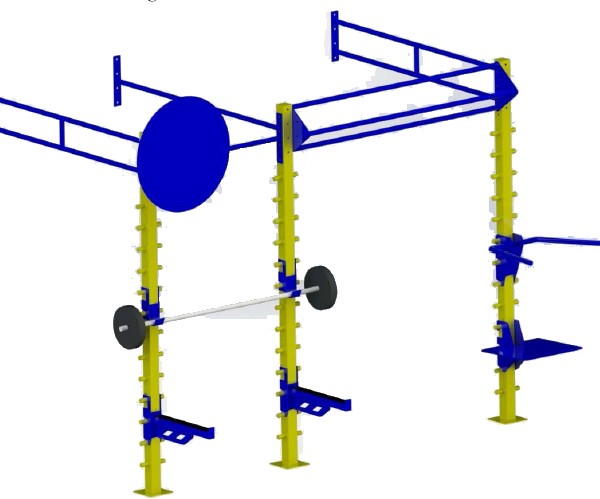 Small Wall Mounted Gym Training Rig