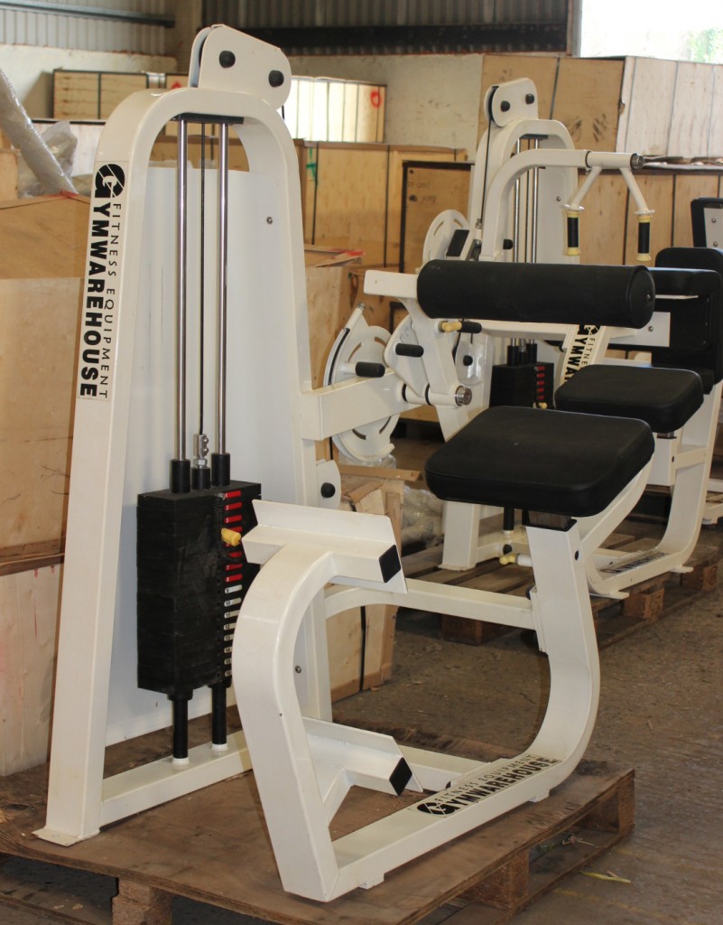 Commercial Gym Back Extension