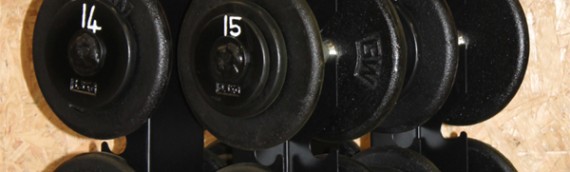 Custom Vertical Dumbbell Rack + Calibrated Dumbbells