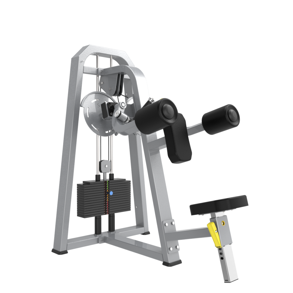 Lateral Raise